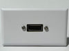 Telecom Plate with Display Port Female to Female Coupler - Installed - Front View - White