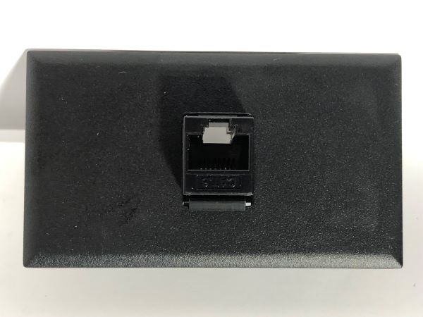 Telecom Data Plate with RJ45 Punch Down Connector - Installed - Front View - Black