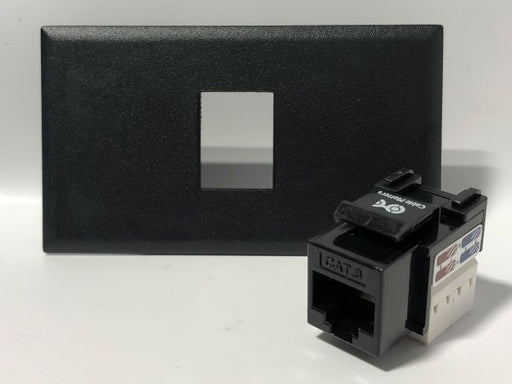 Telecom Data Plate with RJ45 Punch Down Connector - Uninstalled - Front View - Black