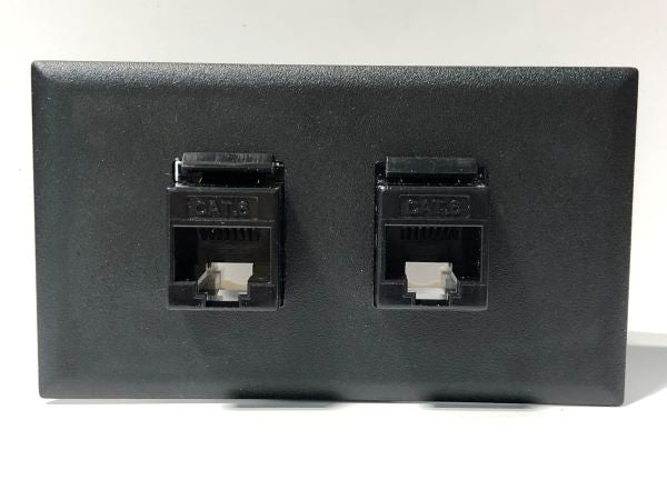 Telecom Data Plate with 2 RJ45 Punch Down Connector - Installed - Front View - Black