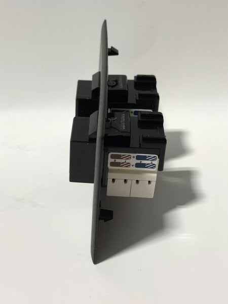 Telecom Data Plate with 2 RJ45 Punch Down Connector - Installed - Side View - Black