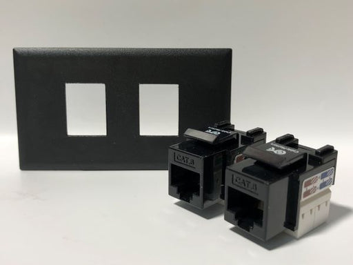 Telecom Data Plate with 2 RJ45 Punch Down Connector - Uninstalled - Front View - Black