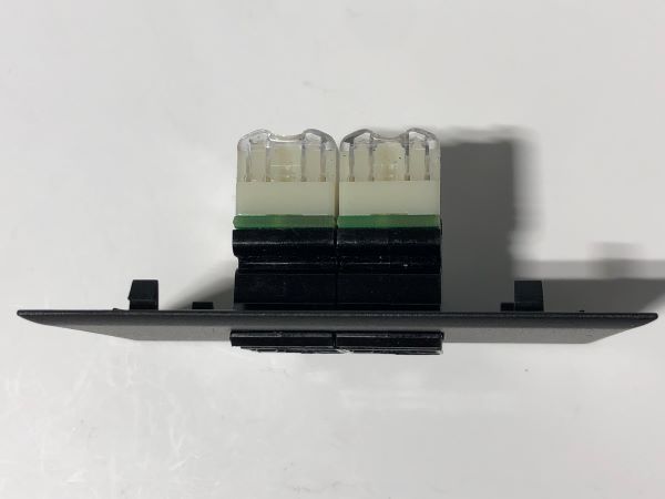 Telecom Data Plate with 2 Siemon RJ45 Punch Down Connectors - Installed - Top View - Black