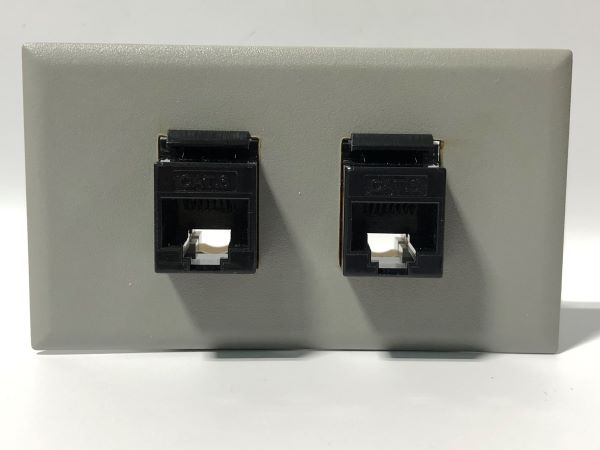Telecom Data Plate with 2 RJ45 Punch Down Connector - Installed - Front View - Gray