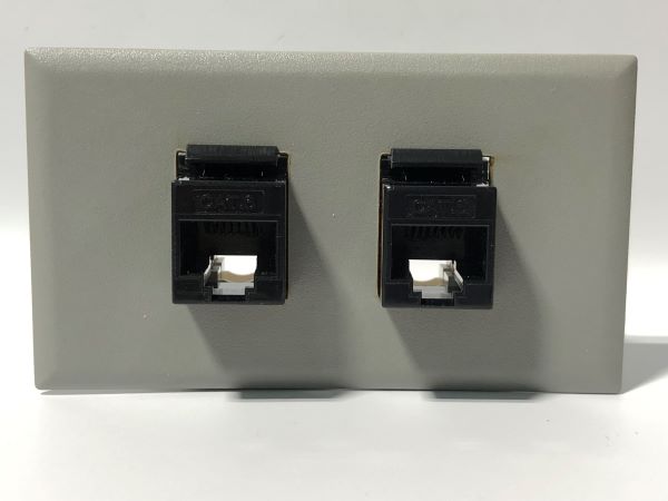 Telecom Plate Telecom Plate with 2 RJ45 CAT6 Punch Down Non-Shielded Connectors ...