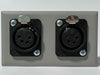 Telecom Plate with 2 D-Series 4 Pin XLR Solder Connectors - Installed - Front View - Gray