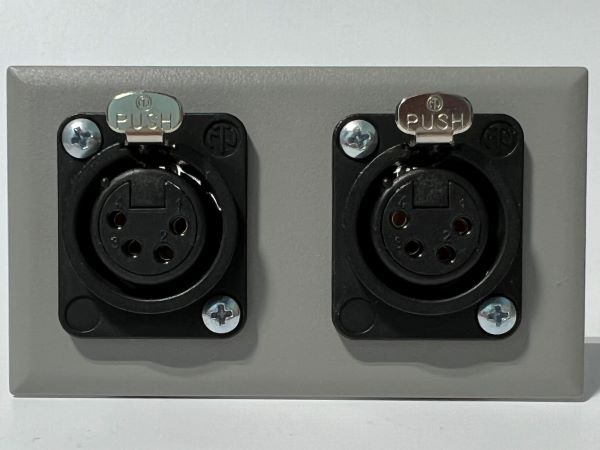 Telecom Plate with 2 D-Series 4 Pin XLR Solder Connectors - Installed - Front View - Gray