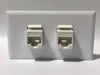 Telecom Data Plate with 2 RJ45 Punch Down Connector - Installed - Front View - White