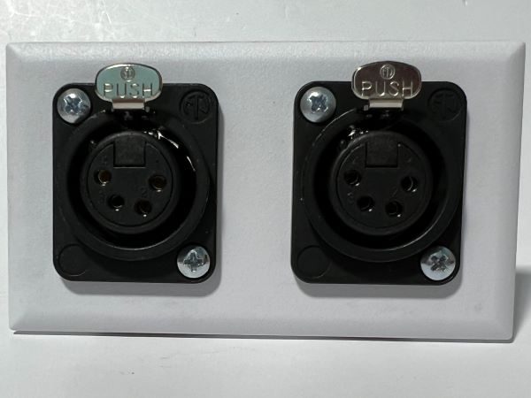 Telecom Plate with 2 D-Series 4 Pin XLR Solder Connectors - Installed - Front View - White