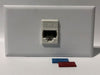 Telecom Data Plate with Siemon RJ45 Punch Down Connector - Installed - Front View - White