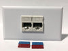 Telecom Data Plate with 2 Siemon RJ45 Punch Down Connectors - Installed - Front View - White