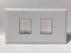 Telecom Data Plate with 2 Keystone Knockouts - Front View - White