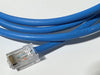 Siemon Male RJ45 CAT6 Terminated Connector